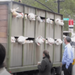 Banksy-Sirens of the lambs - Happening NY