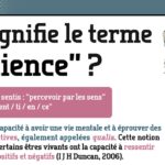 Que signifie le terme « sentience » ?